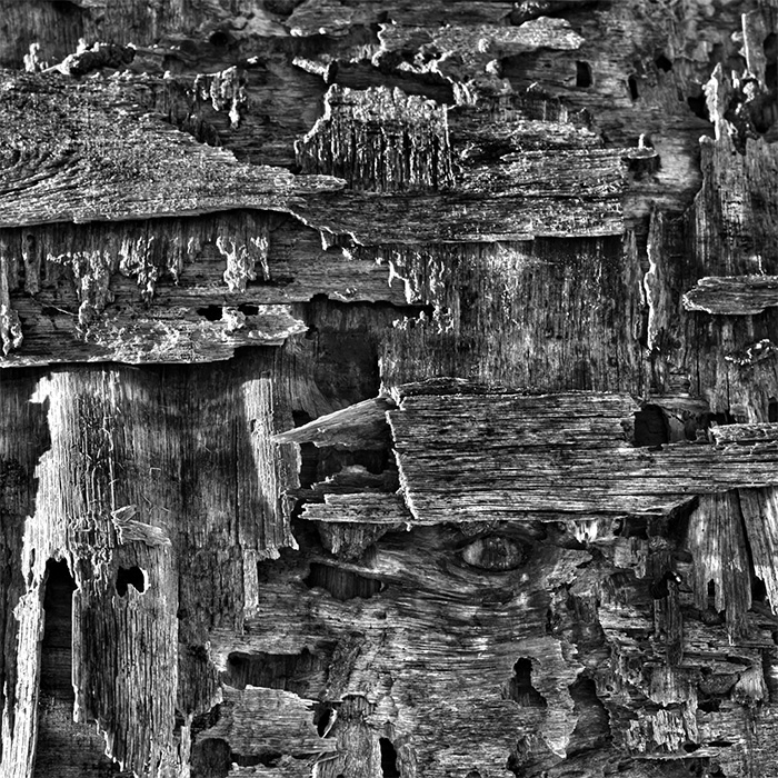 中島 板 / Brand Strategist